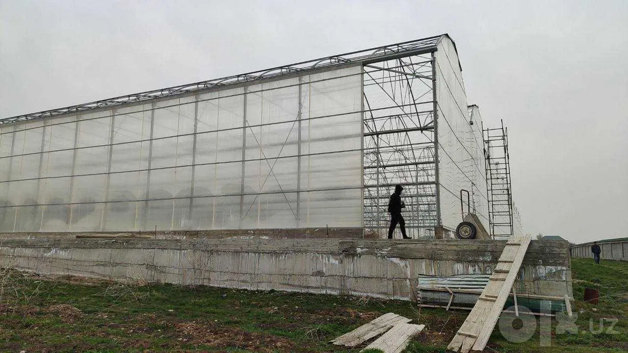 Tashkent City, Olmazor District
