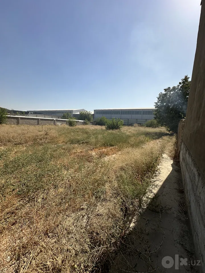 Tashkent Region, Zangiota District