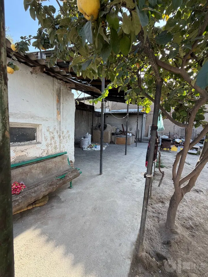 Tashkent Region, Zangiota District