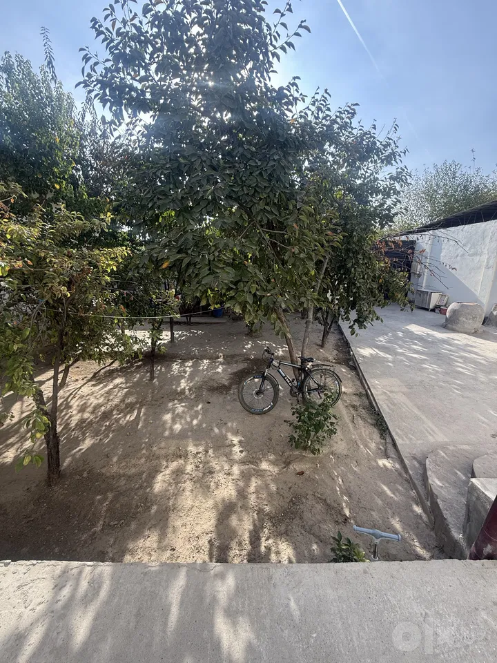 Tashkent Region, Zangiota District