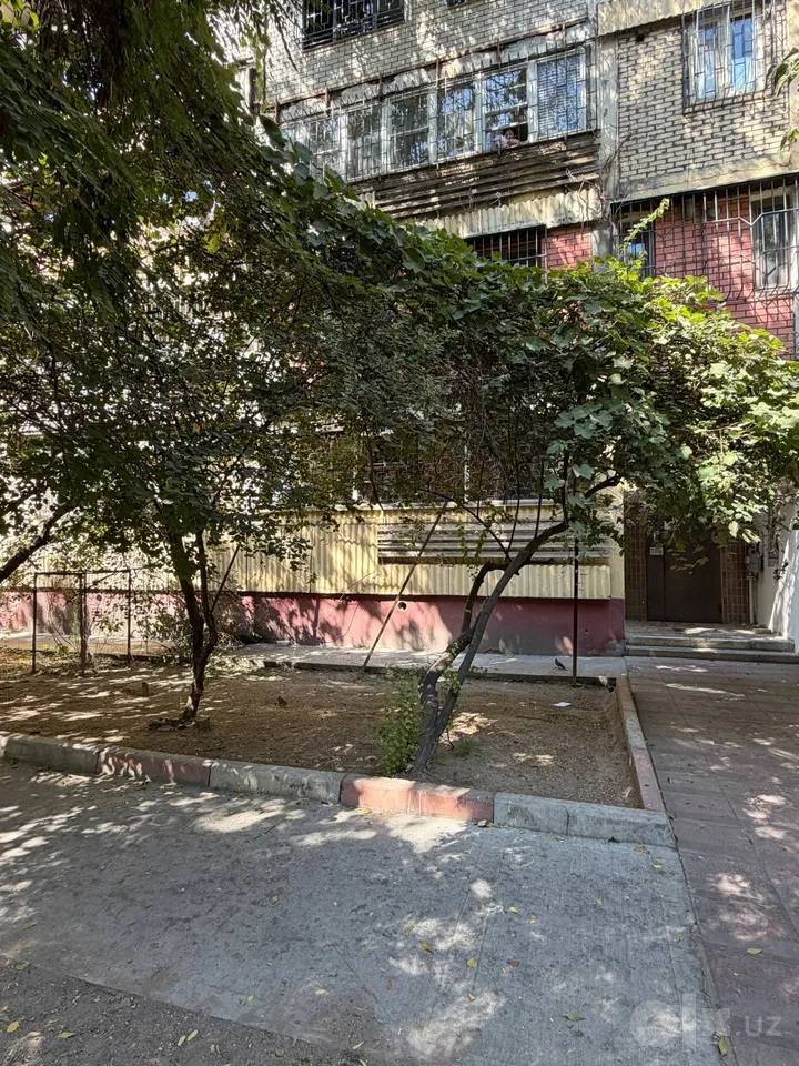 Toshkent shahri, Mirzo Ulug'bek tumani