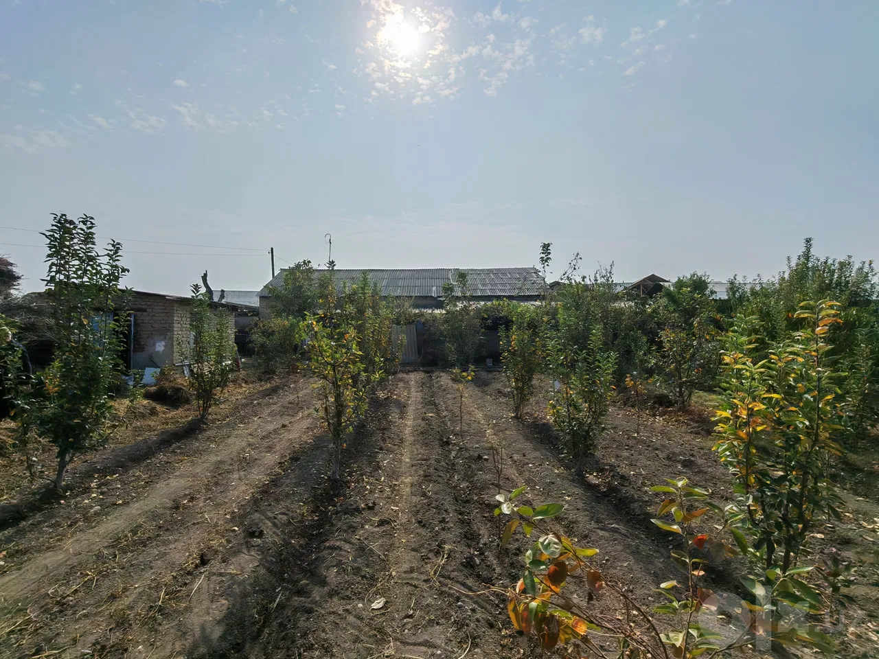 Fergana Region, Fergana