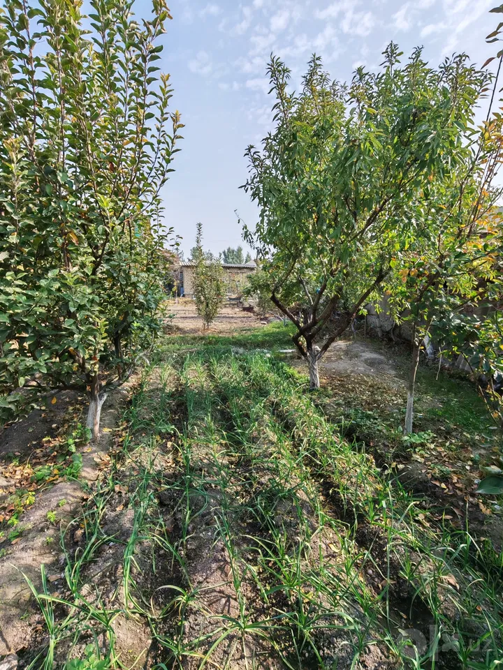 Fergana Region, Fergana