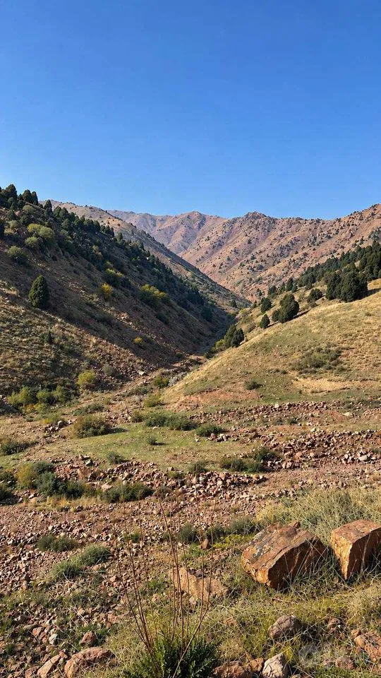 Tashkent Region, Ohangaron District