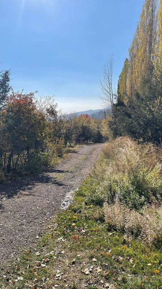 Tashkent Region, Ohangaron District
