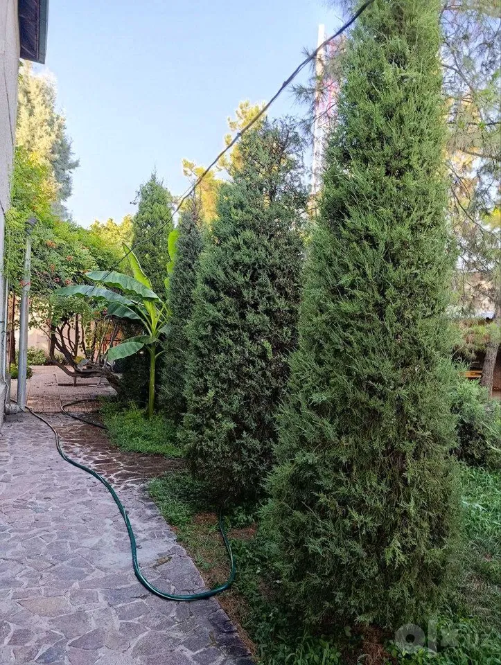 Tashkent City, Bektemir District