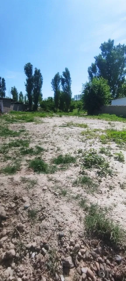 Syrdarya Region, Sirdaryo District