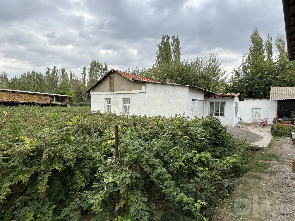 Tashkent Region, Chirchiq