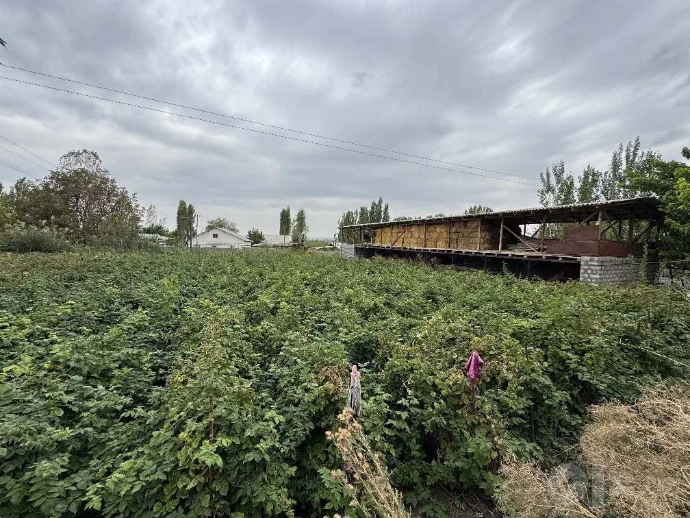 Tashkent Region, Chirchiq