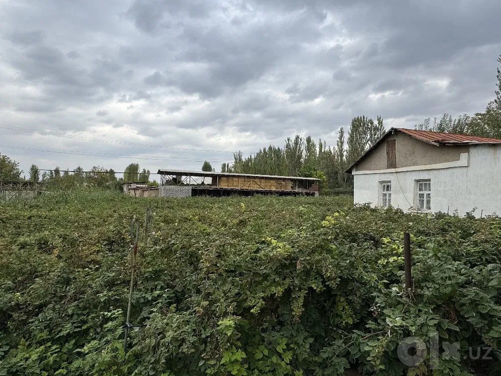 Tashkent Region, Chirchiq