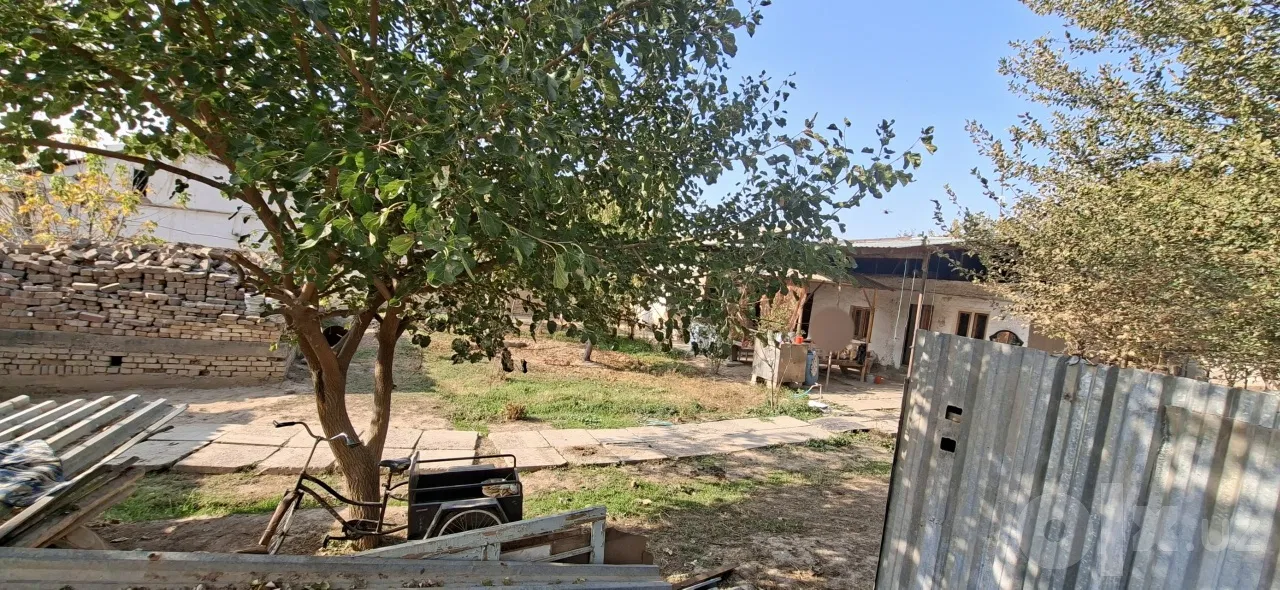 Tashkent Region, Zangiota District