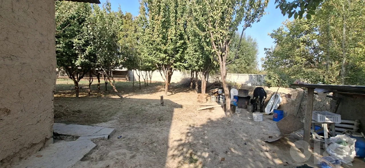Tashkent Region, Zangiota District