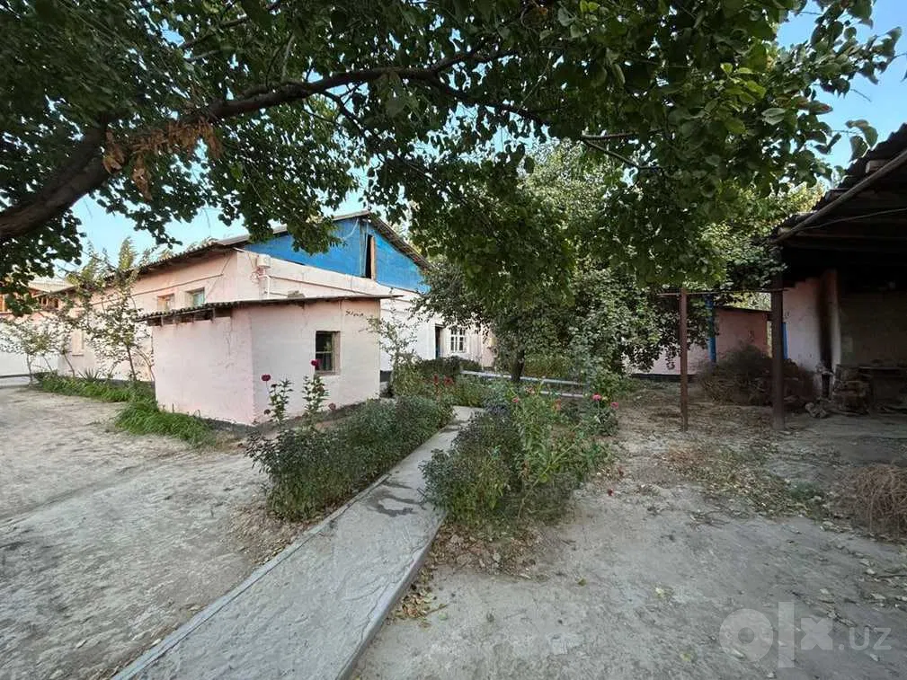 Tashkent Region