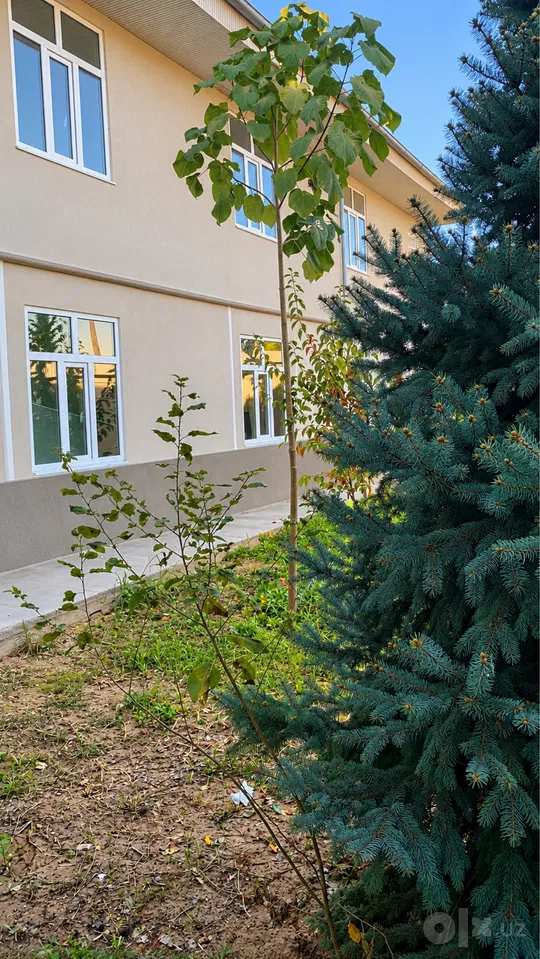 Tashkent Region, Nurafshon