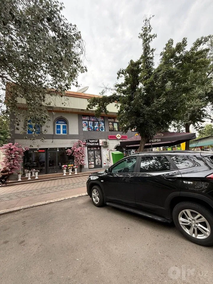 Tashkent City, Mirzo Ulug'bek District