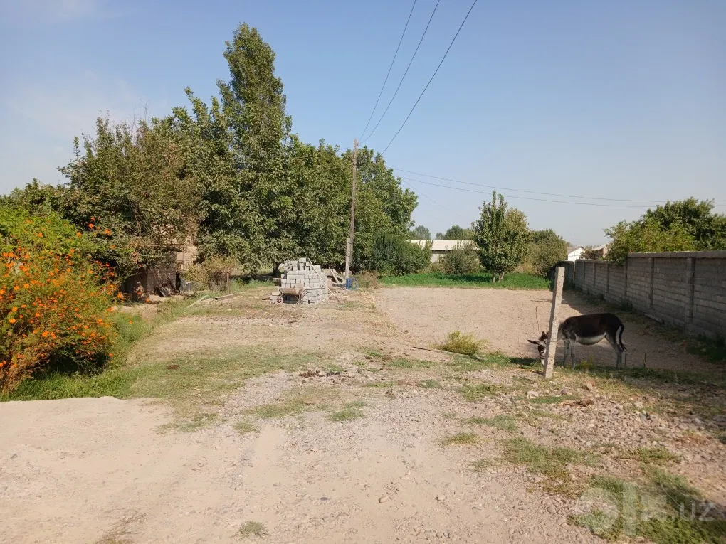 Tashkent Region, Yangiyo'l