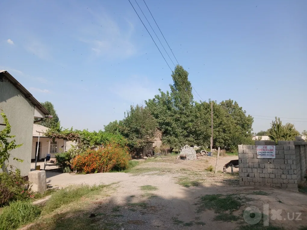 Tashkent Region, Yangiyo'l