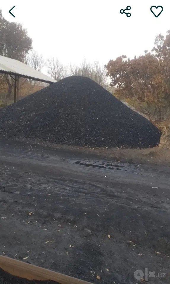 Tashkent City, Bektemir District