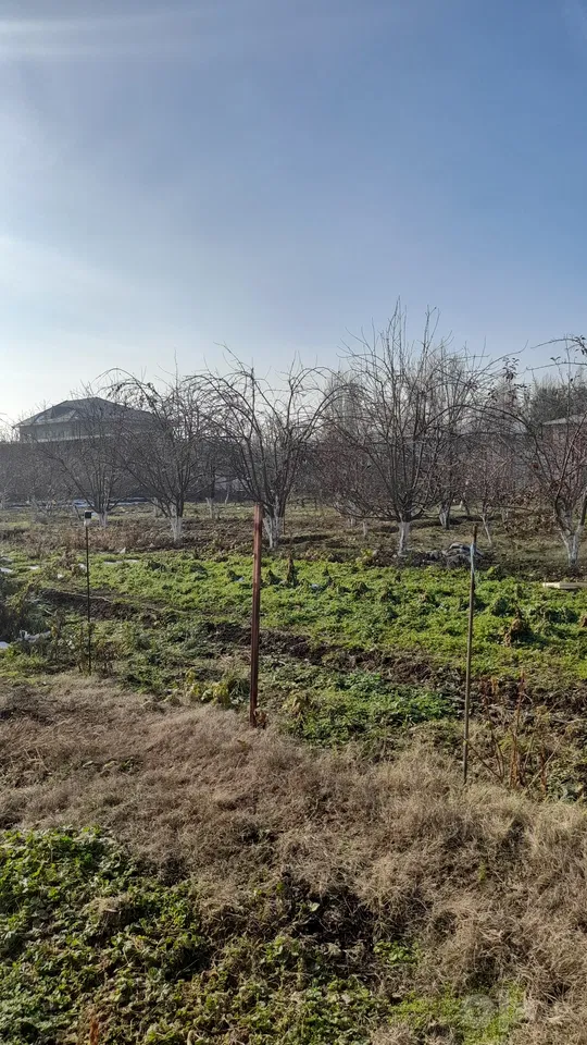 Tashkent City, Bektemir District