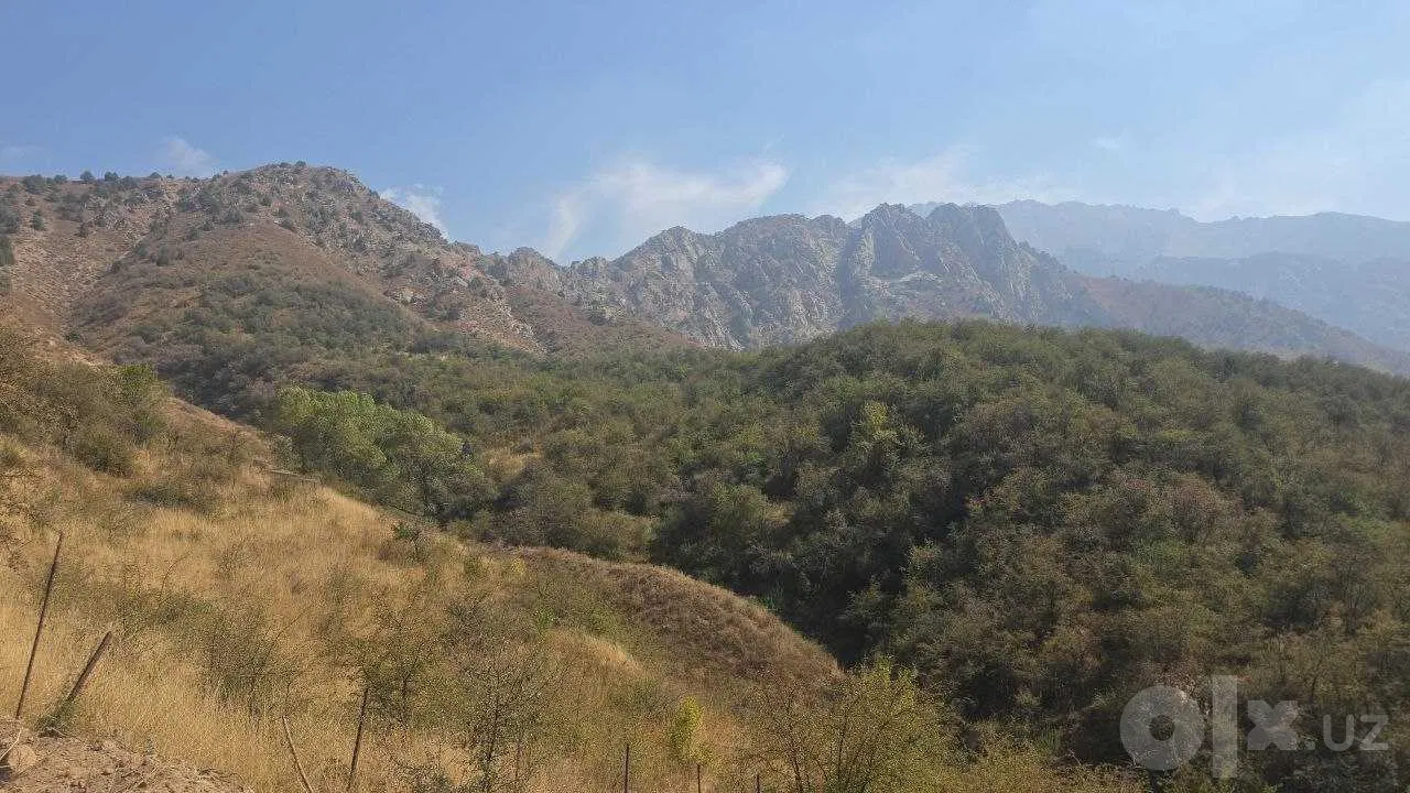 Tashkent Region