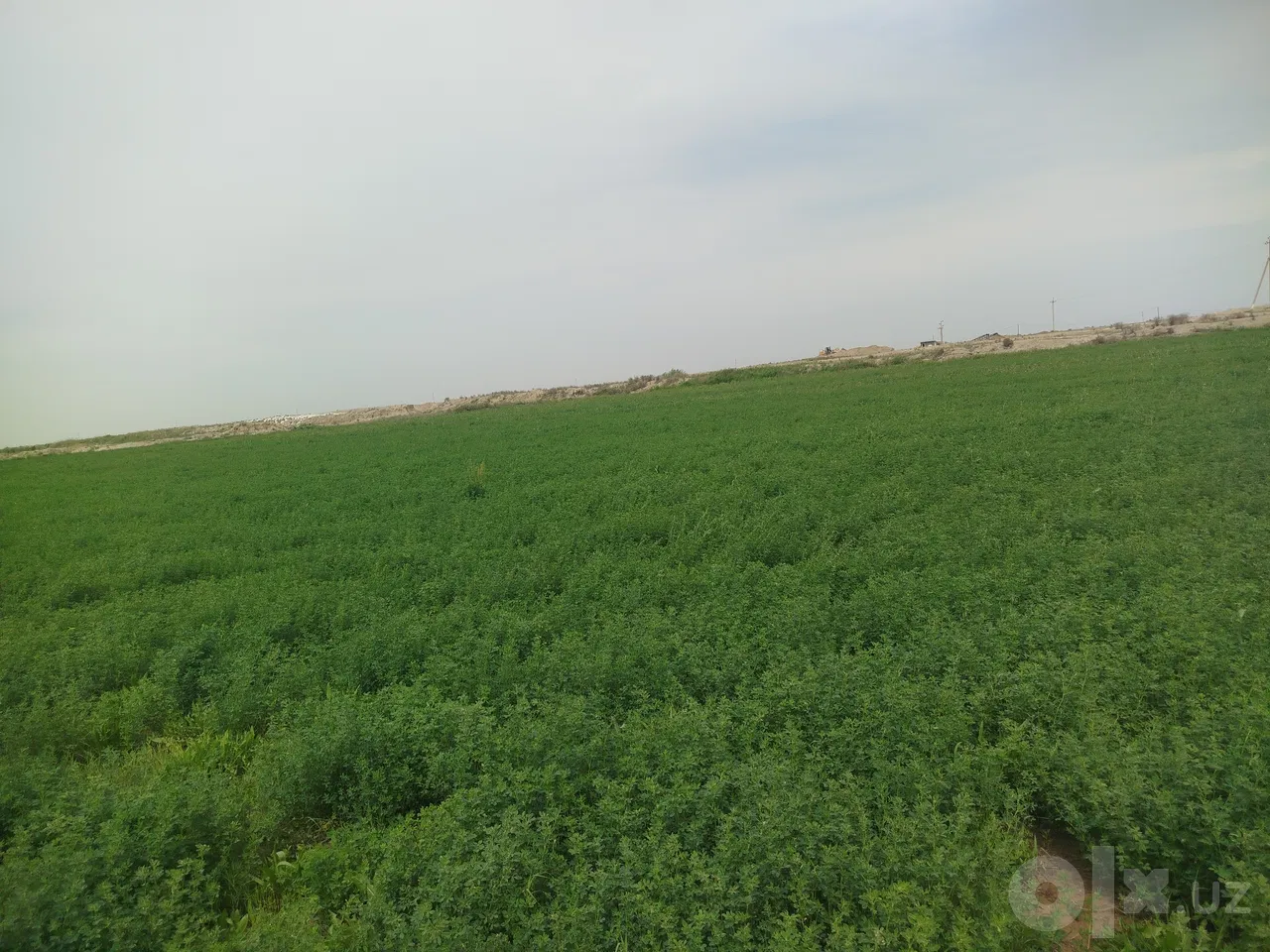 Bukhara Region, Kogon