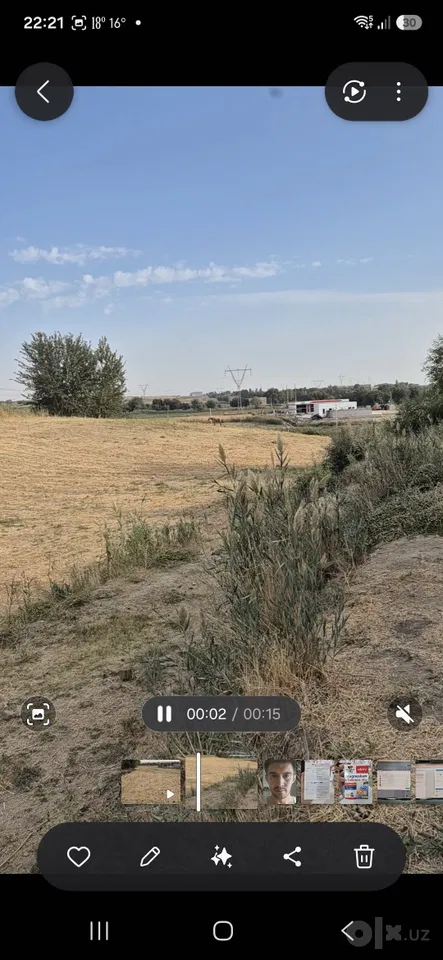 Tashkent Region